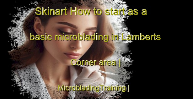 Skinart How to start as a basic microblading in Lamberts Corner area | MicrobladingTraining | MicrobladingClasses | SkinartTraining-United States